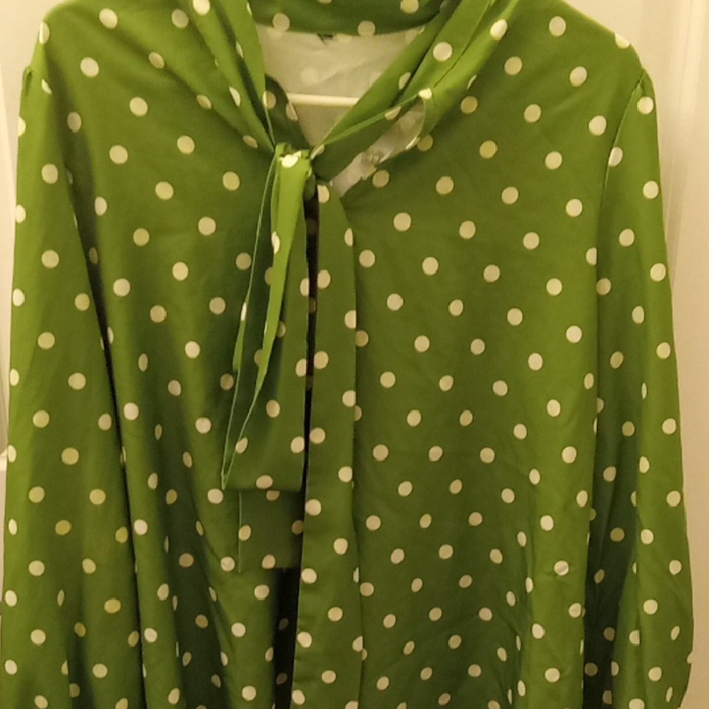 Green Polka Dot Blouse